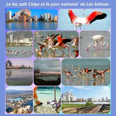Paradisus Calpe